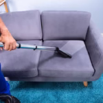 Sofa Cleaning