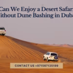 Can We Enjoy Desert Safari Without Dune Bashing in Dubai?