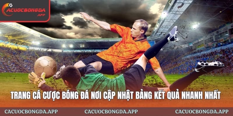 Bóng Đá Nơi Cập