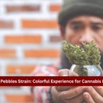 Fruity Pebbles Strain