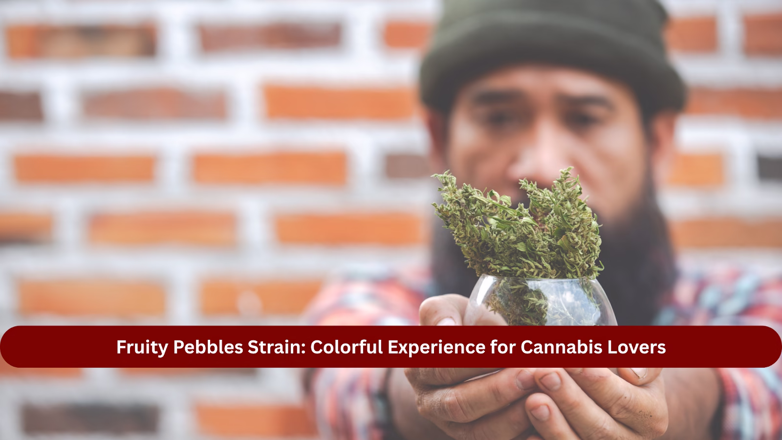 Fruity Pebbles Strain