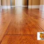 Hardwood Floor Installation