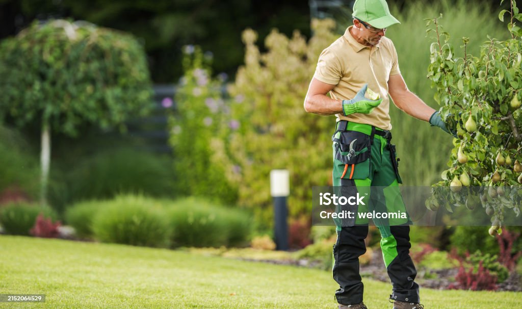 professional lawn care by Erbert Lawns