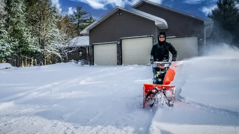 Tree & Snow Removal Services Hits 100+ Google Reviews for Quality Work