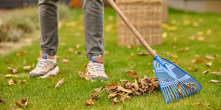 Clean Your Garden