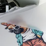 Direct-to-Film Printing