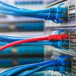 Ethernet Cable Solutions for Modern Networking