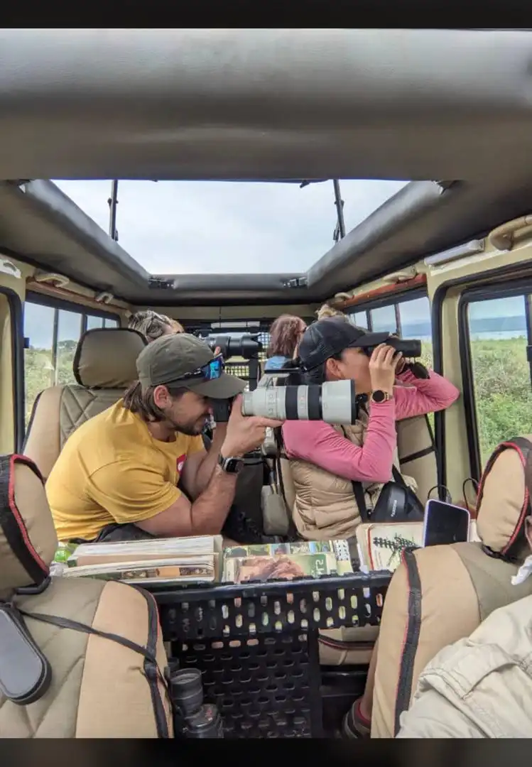 Gorilla Safaris