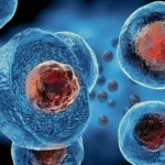 STEM CELL Conditions