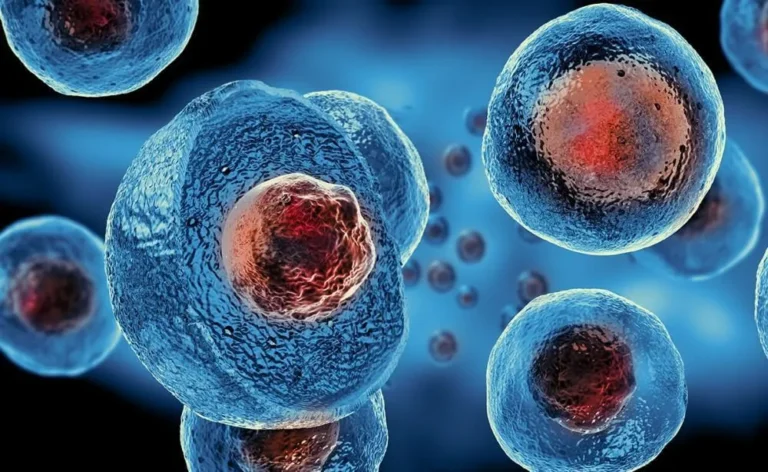 STEM CELL Conditions