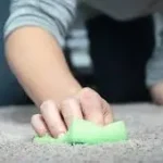 Top 7 Carpet Stains in Australian Homes