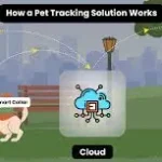 Why Modern Animal Control Depends on Smart Tracking Solutions
