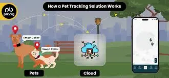 Why Modern Animal Control Depends on Smart Tracking Solutions