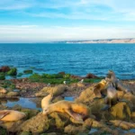 Top Relaxing Things to Do in San Diego for a Stress Free Weekend