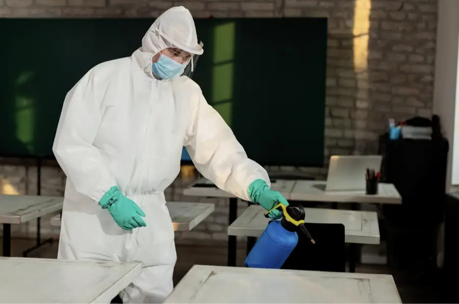 7 Signs You Need Professional Pest Control In Raleigh