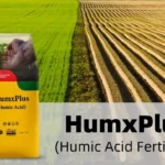 Humic Acid vs Sodium Humate