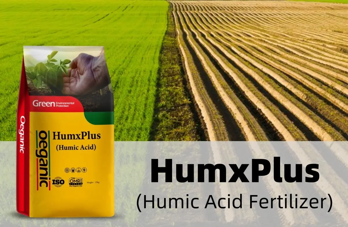Humic Acid vs Sodium Humate