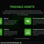 VestoFX.net: Nvidia and AI Stocks Drive Momentum in Global Equity Markets