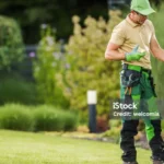 professional lawn care by Erbert Lawns
