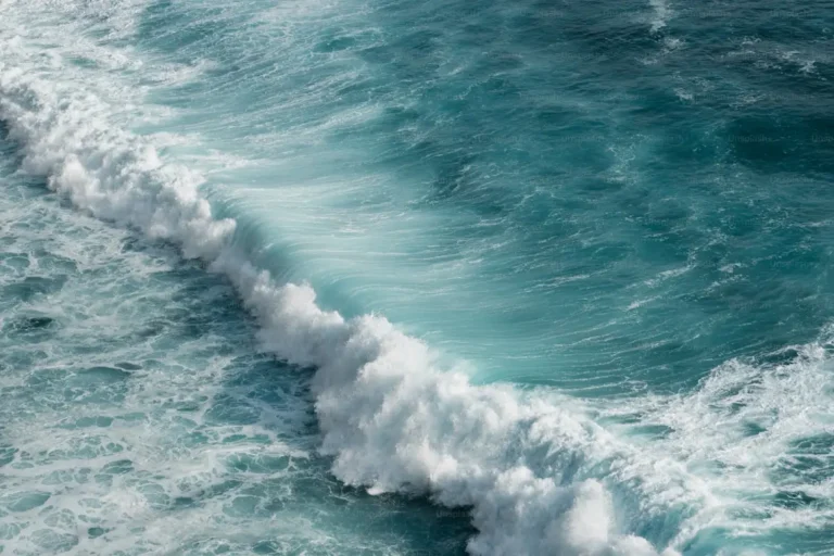 Ocean Wave Simulators