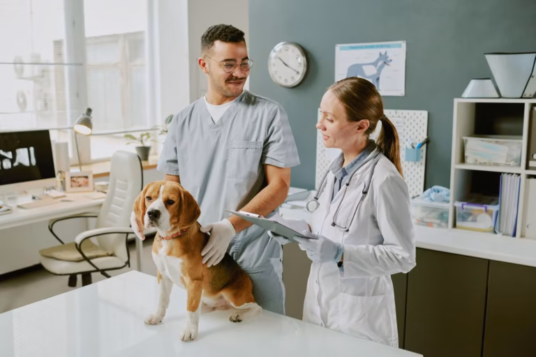 Animal Hospitals