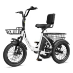 Portable Electric Bike