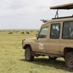Ultimate Tanzania Safari Itinerary with Zanzibar & Mount Kilimanjaro Climb