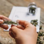 Is Self-Medicating with Recreational Cannabis the Same as Medical Use?