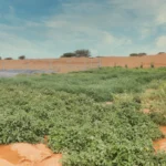 Resilience, Restoration, and Revolution: Navigating Modern Challenges