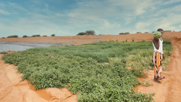 Resilience, Restoration, and Revolution: Navigating Modern Challenges