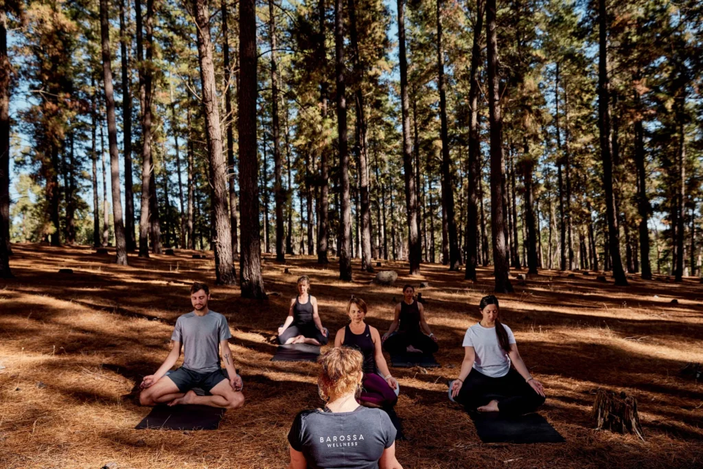 Corporate Retreats in the Barossa Valley: A Private Setting for Team Connection and Productivity
