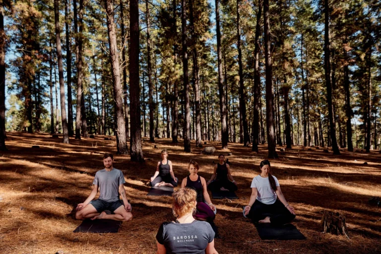 Corporate Retreats in the Barossa Valley: A Private Setting for Team Connection and Productivity