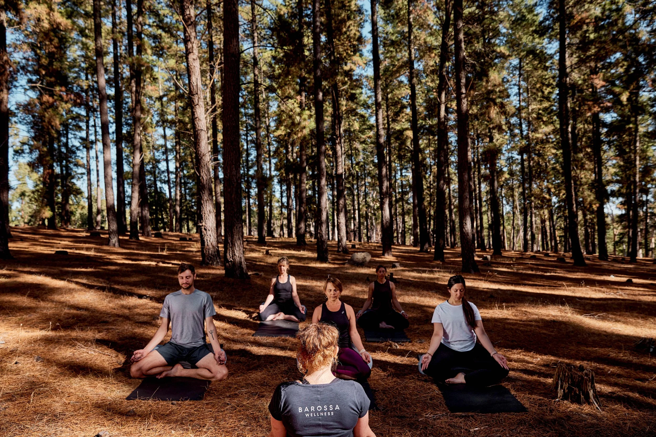 Corporate Retreats in the Barossa Valley: A Private Setting for Team Connection and Productivity