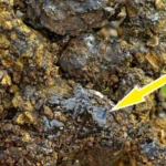 Himalayan Shilajit