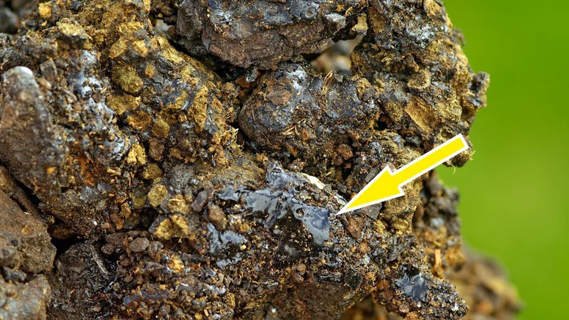Himalayan Shilajit