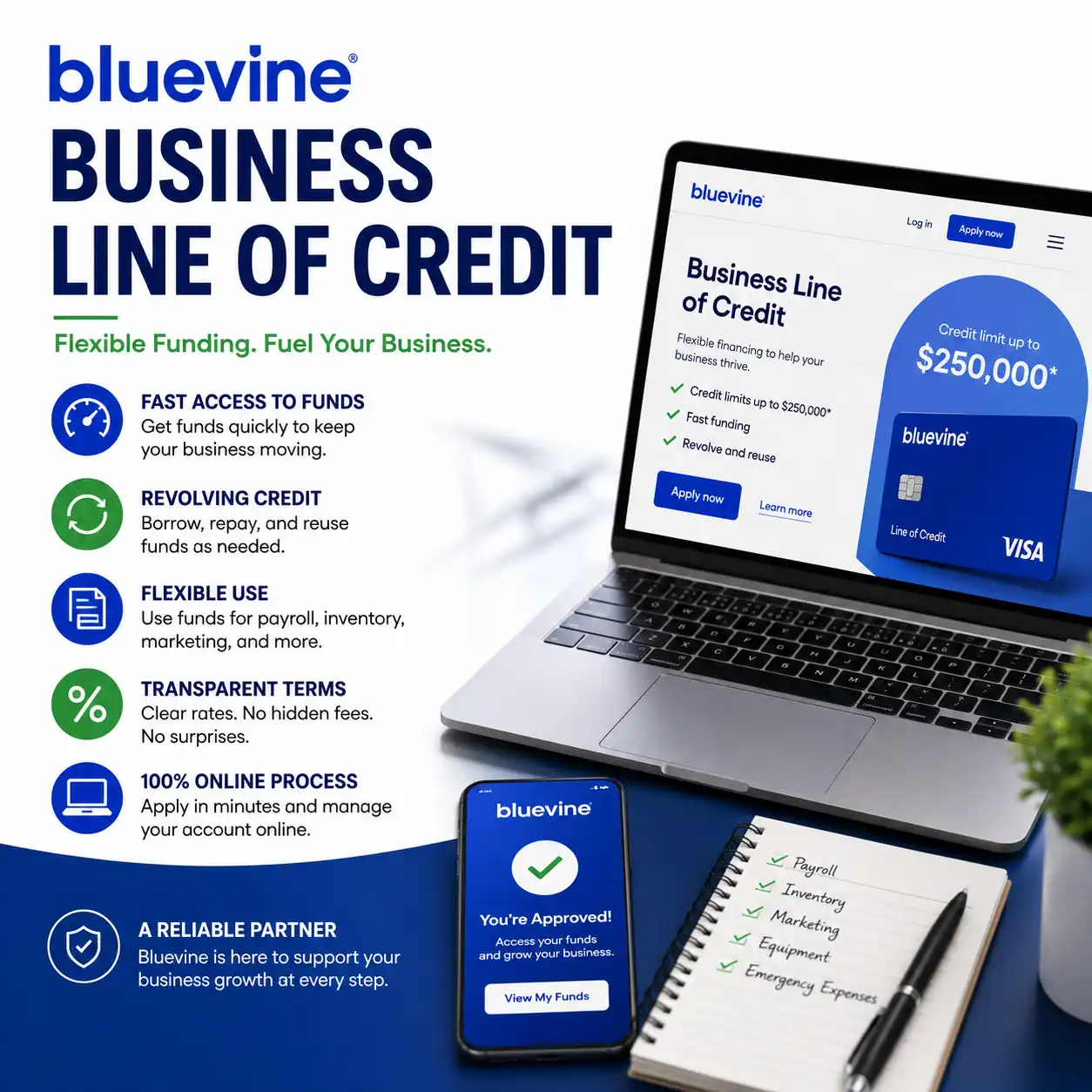 How the Bluevine Business Line of Credit Helps Small Businesses Grow
