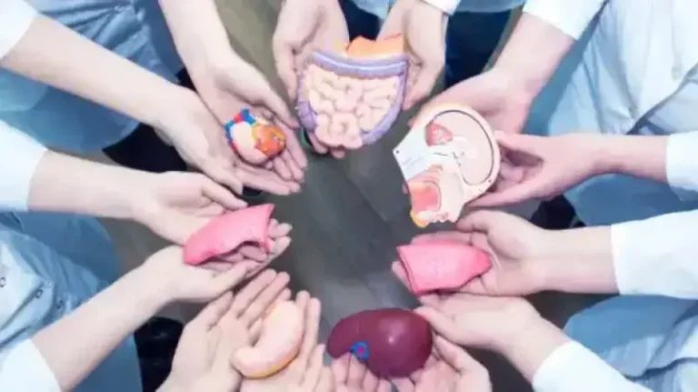 Organ Transplant