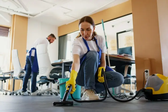 Professional Cleaning