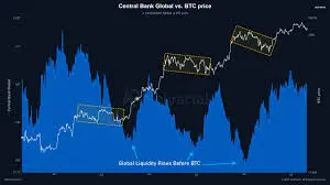 Liquidity Cycles in Crypto: Identifying Early Signals