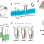 How to Choose the Right Digital PCR Test Kit for Rare Variant Detection: A Step-by-Step Framework