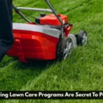 Why Recurring Lawn Care Programs Are Secret To Perfect Lawn