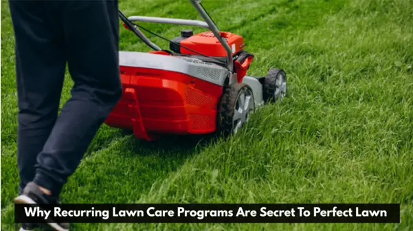 Why Recurring Lawn Care Programs Are Secret To Perfect Lawn