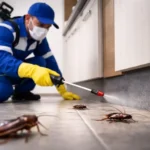 Insecticide for Cockroaches