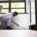 How EnviroCon Pest Control Delivers Reliable Pest Control Conroe Solutions