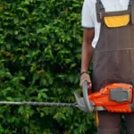 How Lawn Services In Oldsmar Can Transform Your Outdoor Space