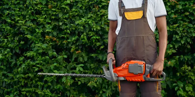 How Lawn Services In Oldsmar Can Transform Your Outdoor Space