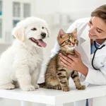 Animal Clinics