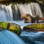 Alaska's National Parks