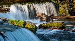 Alaska's National Parks