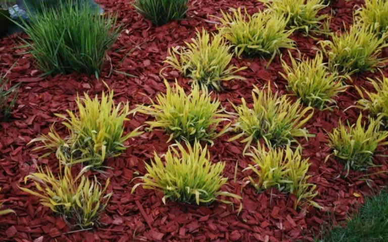 Is Bulk Mulch Delivery Better Than Bagged Mulch?